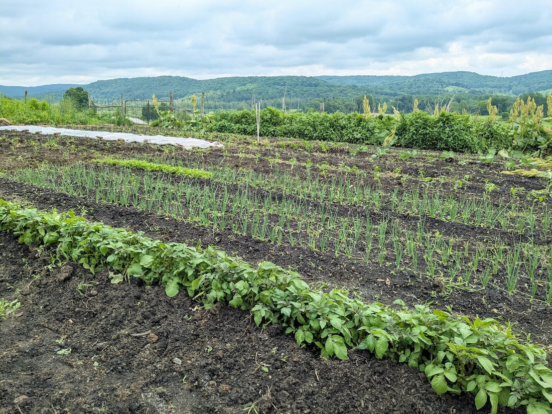 The Self-Sufficiency Trap