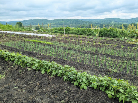 The Self-Sufficiency Trap