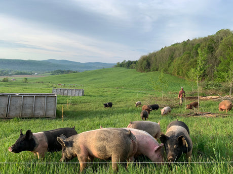 The Sorry State of Fake Meat