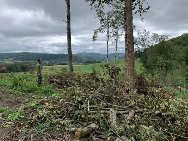 A Farmer's Guide to Planting and Protecting Trees, Part Two