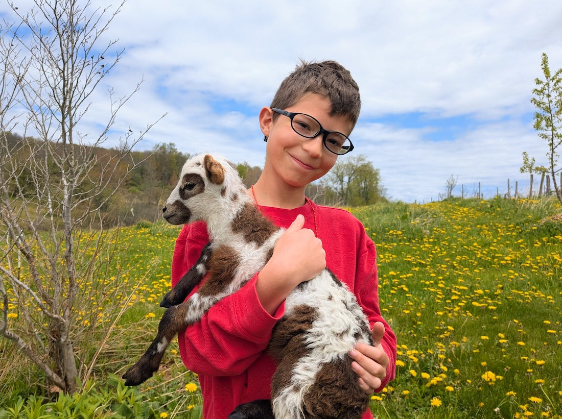 Self-Driving Tractors, Self-Driving Sheep