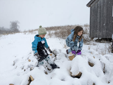 Winter Animals