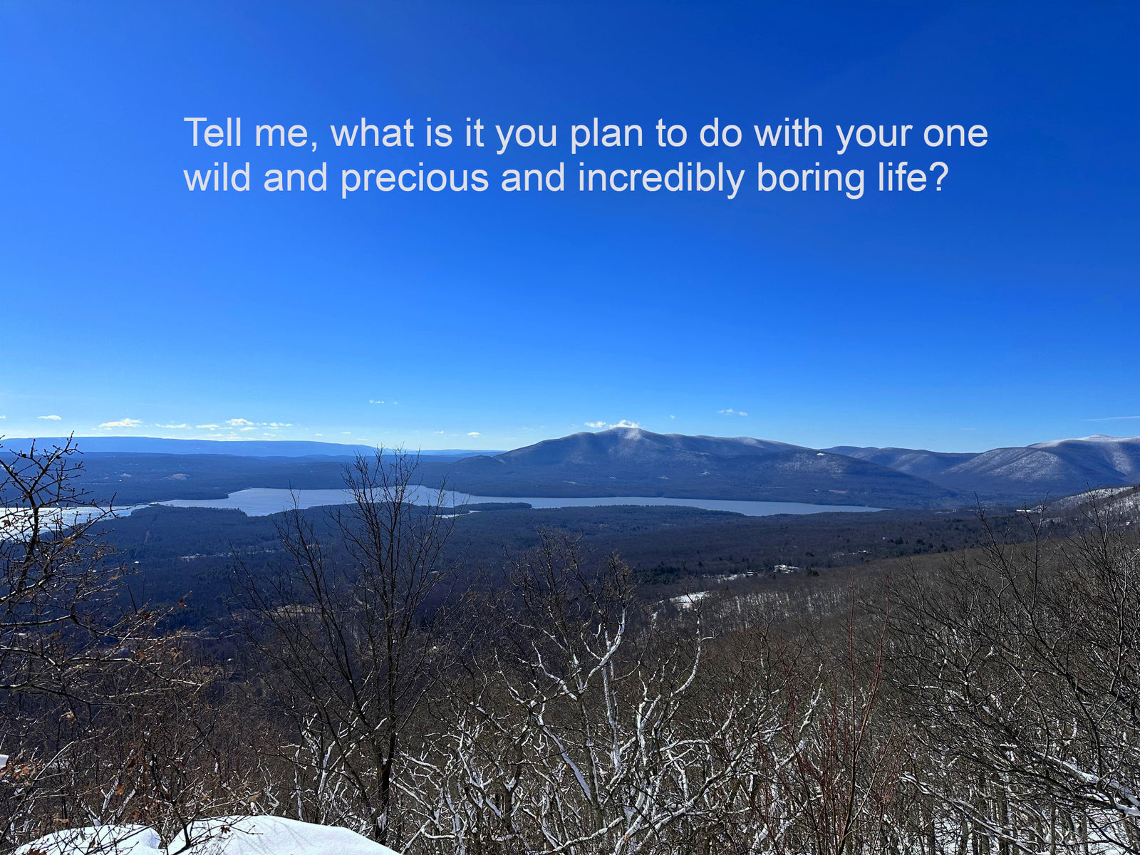 What Will You Do With Your Wild and Precious and Incredibly Boring Life?