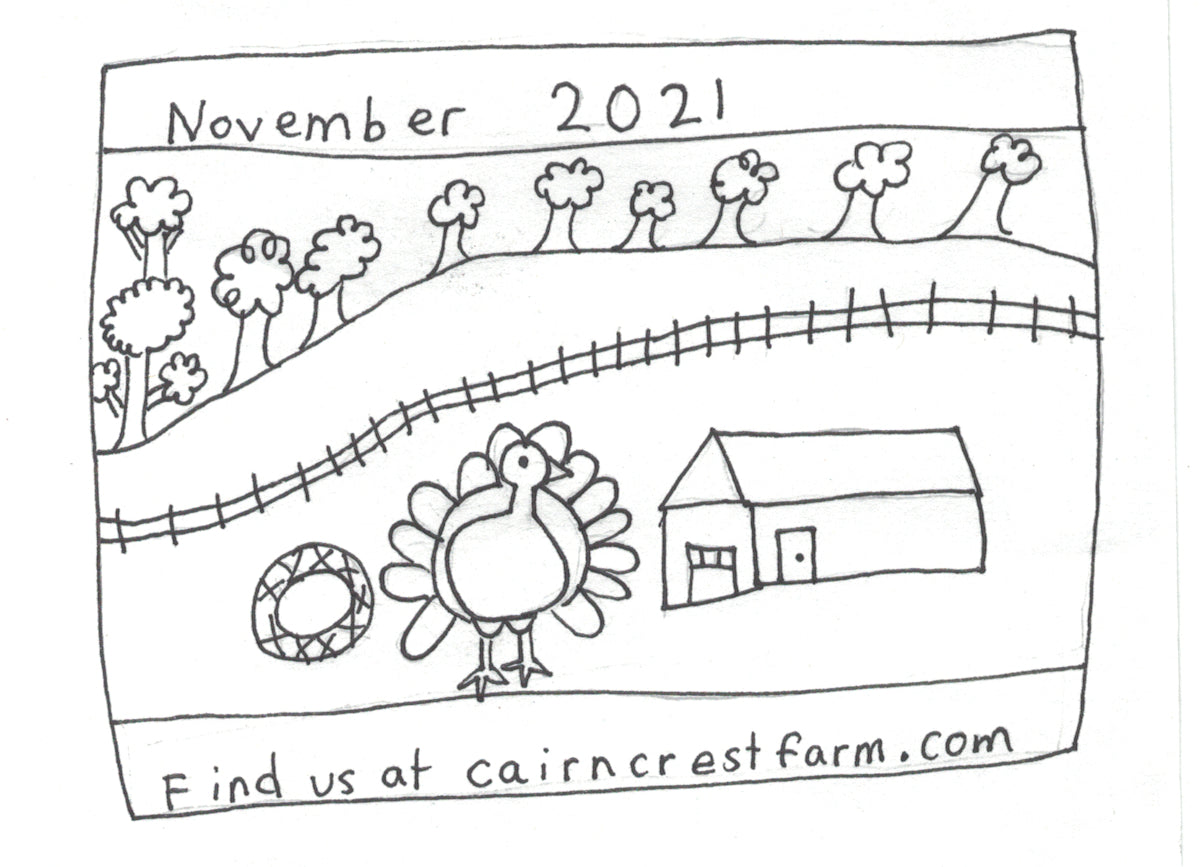 Cairncrest Kids Chronicle November 2021