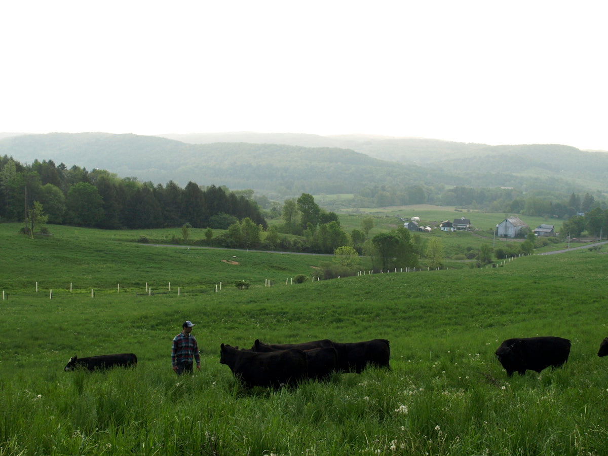 The Future of Meat, the Future of the Planet