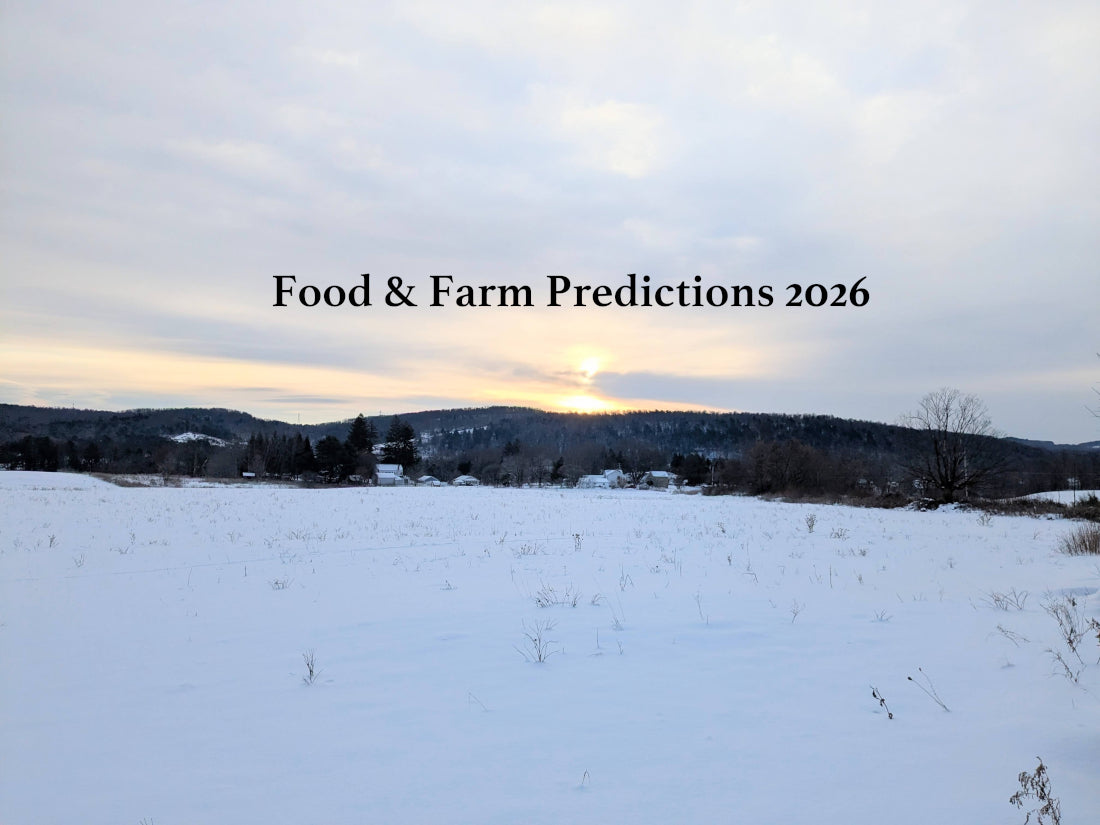 2026 Predictions Extravaganza