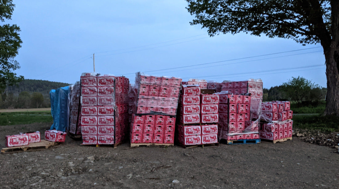 What Can You Do With 20 Tons of Broccoli?