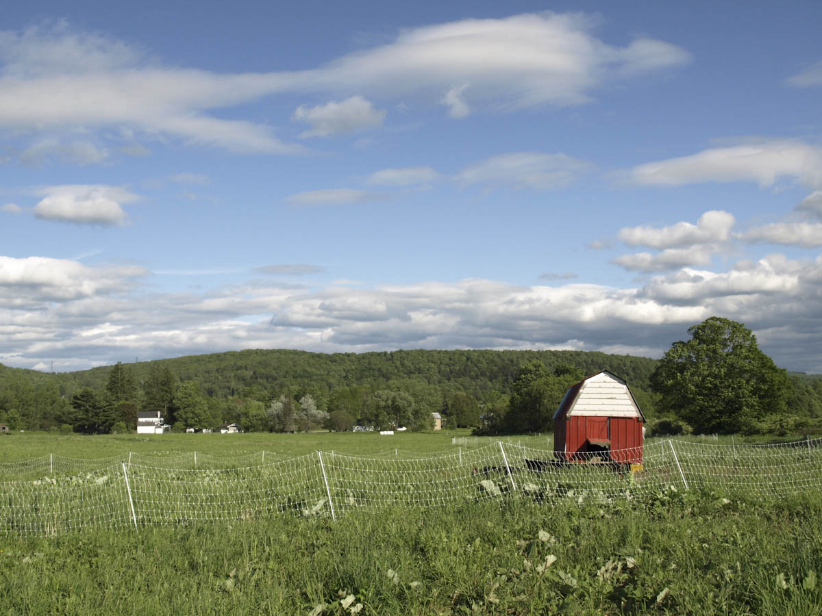 Cairncrest Farm Gift Card